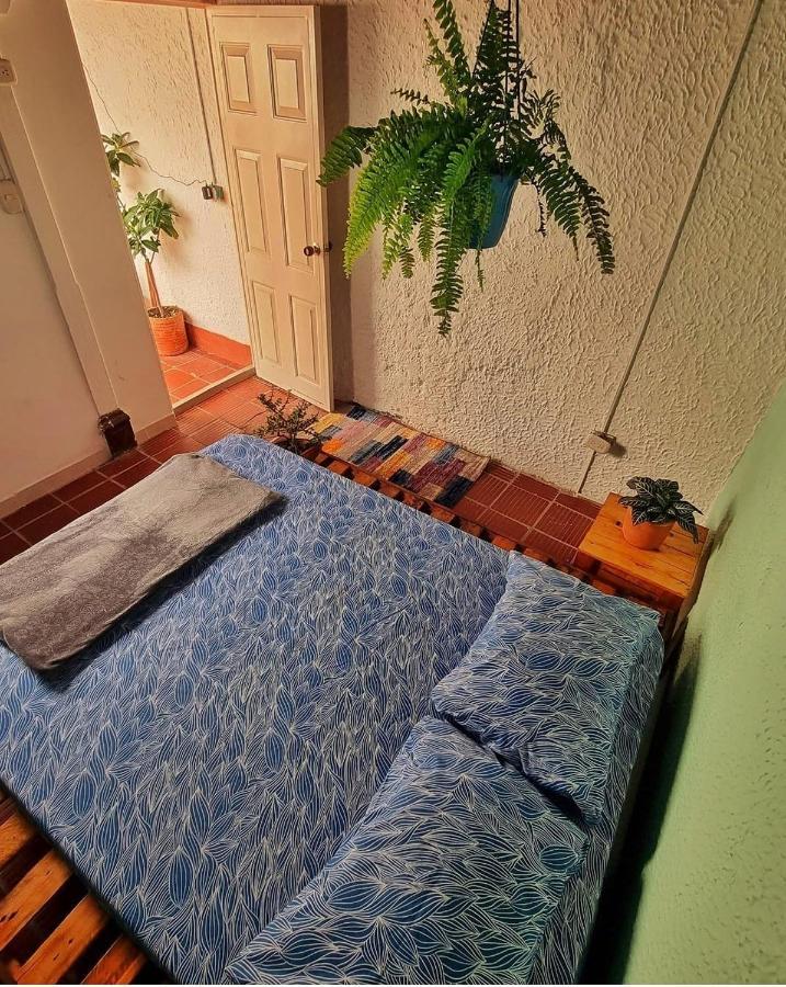Tatami Hostel 부카라망가 외부 사진