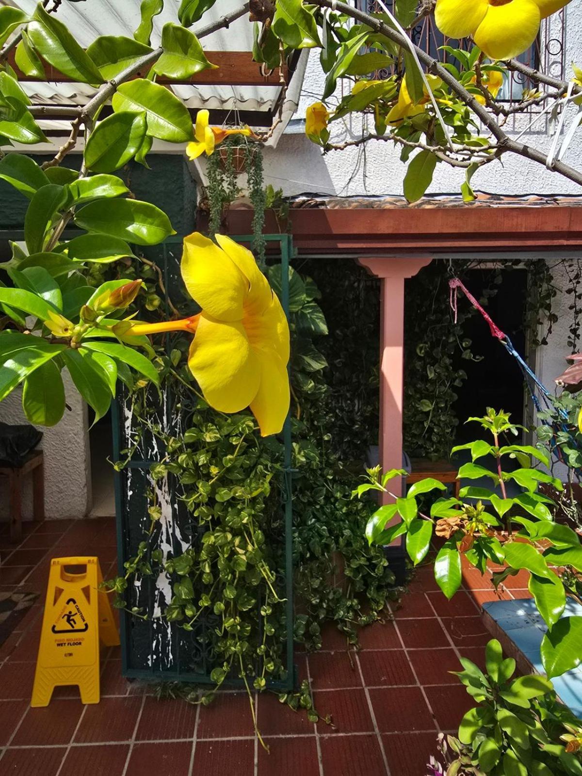 Tatami Hostel 부카라망가 외부 사진